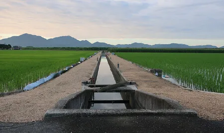 岡山市南区地内かんがい排水事業